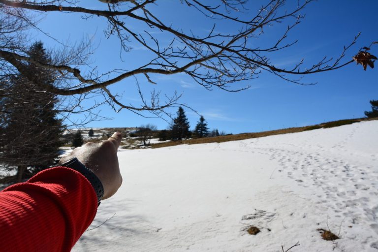 Alpicrando propose une randonnée raquette à neige le Dimanche 25 Janvier dans le massif du Vercors à la But de St Genix sur la commune de Vassieux en Vercors