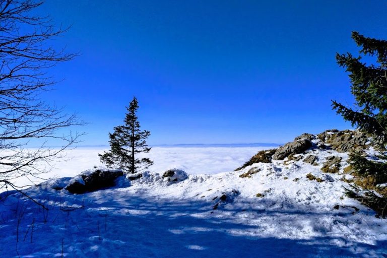 Alpicrando propose une randonnée raquette à neige le Jeudi 15 Janvier dans le massif du Vercors au Bec de l'Orient sur la commune d'Autrans